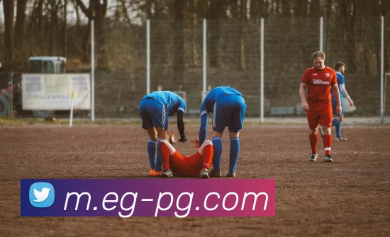 pg模拟器平台生态图